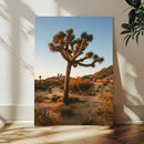 Joshua Tree Wall Art Canvas Print – Framed Desert Sunset by MyGreatCanvas | Canvas Wall Art Prints | Photo Prints & Wall Decor