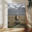 Wild Elk Wall Art Canvas Print – Framed Mountain Wilderness