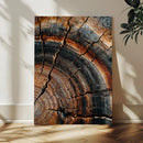 Abstract Tree Rings Wall Art Canvas Print Wood Grain Rings