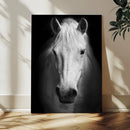 Large Wall Art White Horse Canvas Print