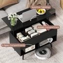 31.5 Inch Lift-Top Coffee Table with Hidden Storage and 2 Open Shelves by LJGDeals