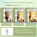 Vanity Table Set with Lighted Mirror and Cushion Stool