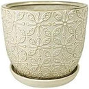 Generic Garden & Home White 10 Inch Indoor Ceramic Plant Pot with an Attached Saucer and Drainage Hole for House Plants, Herbs, Flowers, Succulent Plants, Snake Plants, Gifts for Mom, Standard Pot by CozyNest Decor
