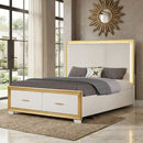 Obsession - Queen Size Bed With LED Headboard And Footboard Storage Drawer - White by HouseOfZazla