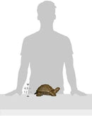 Design Toscano Aesop's Turtle Ornament Garden Tortoise Animal Statue, 10 Inches Wide, Cast Iron, Verdigris Finish by GreenHaven Gardens