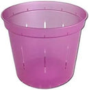 rePotme 3 inch Orchid Pot 3 Pack - Slotted Orchid Pots with Holes for Repotting (Rose Quartz) by GreenHaven Gardens