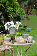 11.5x7x7' Sand and Cement Nautilus Shell Planter with Textured Beige Finish by HouseOfZazla
