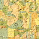 Vintage Map of East Baton Rouge Parish, Louisiana 1895