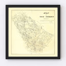 Vintage Map of Bee County, Texas 1879