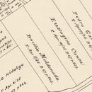 Vintage Map of Calhoun County, Texas 1879