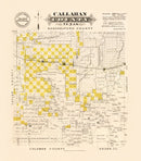 Vintage Map of Callahan County, Texas 1870