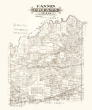 Vintage Map of Fannin County, Texas 1870