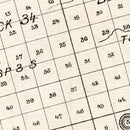 Vintage Map of Glasscock County, Texas 1890