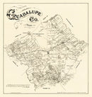 Vintage Map of Guadalupe County, Texas 1880