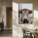 Texas Longhorn Wall Art Canvas Print – Spotted Horned Cattle