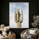 Desert Cactus Wall Art – Tall Spines Canvas Print, Arid by MyGreatCanvas | Canvas Wall Art Prints | Photo Prints & Wall Decor