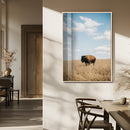 Bison Photography Wall Art Canvas Print – Framed Western