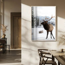 Elk Photography Wall Art Canvas Print – Framed Winter by MyGreatCanvas | Canvas Wall Art Prints | Photo Prints & Wall Decor