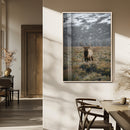 Wild Elk Wall Art Canvas Print – Framed Mountain Wilderness