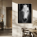 Large Wall Art White Horse Canvas Print