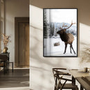 Elk Photography Wall Art Canvas Print – Framed Winter by MyGreatCanvas | Canvas Wall Art Prints | Photo Prints & Wall Decor