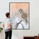 Barred Owl Wall Art Canvas Print – Soft Neutral Wildlife by MyGreatCanvas | Canvas Wall Art Prints | Photo Prints & Wall Decor