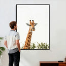 Giraffe Wall Art Canvas Print – Minimal Wildlife Photography by MyGreatCanvas | Canvas Wall Art Prints | Photo Prints & Wall Decor