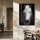 Large Wall Art White Horse Canvas Print