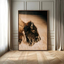 Bison Portrait Wall Art Canvas Print – Framed Western by MyGreatCanvas | Canvas Wall Art Prints | Photo Prints & Wall Decor