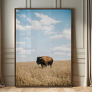 Bison Photography Wall Art Canvas Print – Framed Western