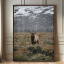 Wild Elk Wall Art Canvas Print – Framed Mountain Wilderness