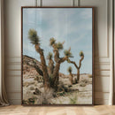 Joshua Tree Desert Canvas Print Southwestern Boho Landscape