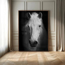 Large Wall Art White Horse Canvas Print