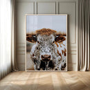 Texas Longhorn Wall Art Canvas Print – Spotted Horned Cattle