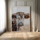 Texas Longhorn Wall Art Canvas Print – Speckled Horned Bull