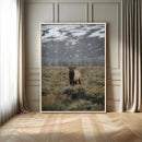 Wild Elk Wall Art Canvas Print – Framed Mountain Wilderness