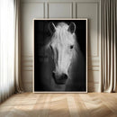 Large Wall Art White Horse Canvas Print