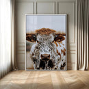 Texas Longhorn Wall Art Canvas Print – Spotted Horned Cattle