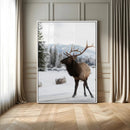 Elk Photography Wall Art Canvas Print – Framed Winter by MyGreatCanvas | Canvas Wall Art Prints | Photo Prints & Wall Decor