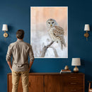 Barred Owl Wall Art Canvas Print – Soft Neutral Wildlife by MyGreatCanvas | Canvas Wall Art Prints | Photo Prints & Wall Decor