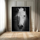 Large Wall Art White Horse Canvas Print