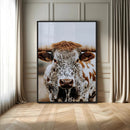Texas Longhorn Wall Art Canvas Print – Spotted Horned Cattle