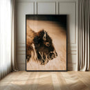 Bison Portrait Wall Art Canvas Print – Framed Western by MyGreatCanvas | Canvas Wall Art Prints | Photo Prints & Wall Decor