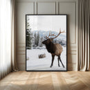 Elk Photography Wall Art Canvas Print – Framed Winter by MyGreatCanvas | Canvas Wall Art Prints | Photo Prints & Wall Decor