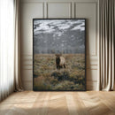 Wild Elk Wall Art Canvas Print – Framed Mountain Wilderness