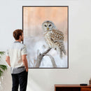 Barred Owl Wall Art Canvas Print – Soft Neutral Wildlife by MyGreatCanvas | Canvas Wall Art Prints | Photo Prints & Wall Decor