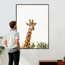 Giraffe Wall Art Canvas Print – Minimal Wildlife Photography by MyGreatCanvas | Canvas Wall Art Prints | Photo Prints & Wall Decor