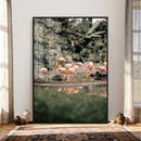 Flamingo Wall Art Canvas Print, Tropical Wildlife Scene by MyGreatCanvas | Canvas Wall Art Prints | Photo Prints & Wall Decor