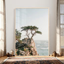 Lone Cypress Canvas Wall Art, Pebble Beach California by MyGreatCanvas | Canvas Wall Art Prints | Photo Prints & Wall Decor