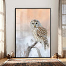 Barred Owl Wall Art Canvas Print – Soft Neutral Wildlife by MyGreatCanvas | Canvas Wall Art Prints | Photo Prints & Wall Decor